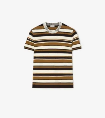 Striped Wool Blend T-shirt in Brown