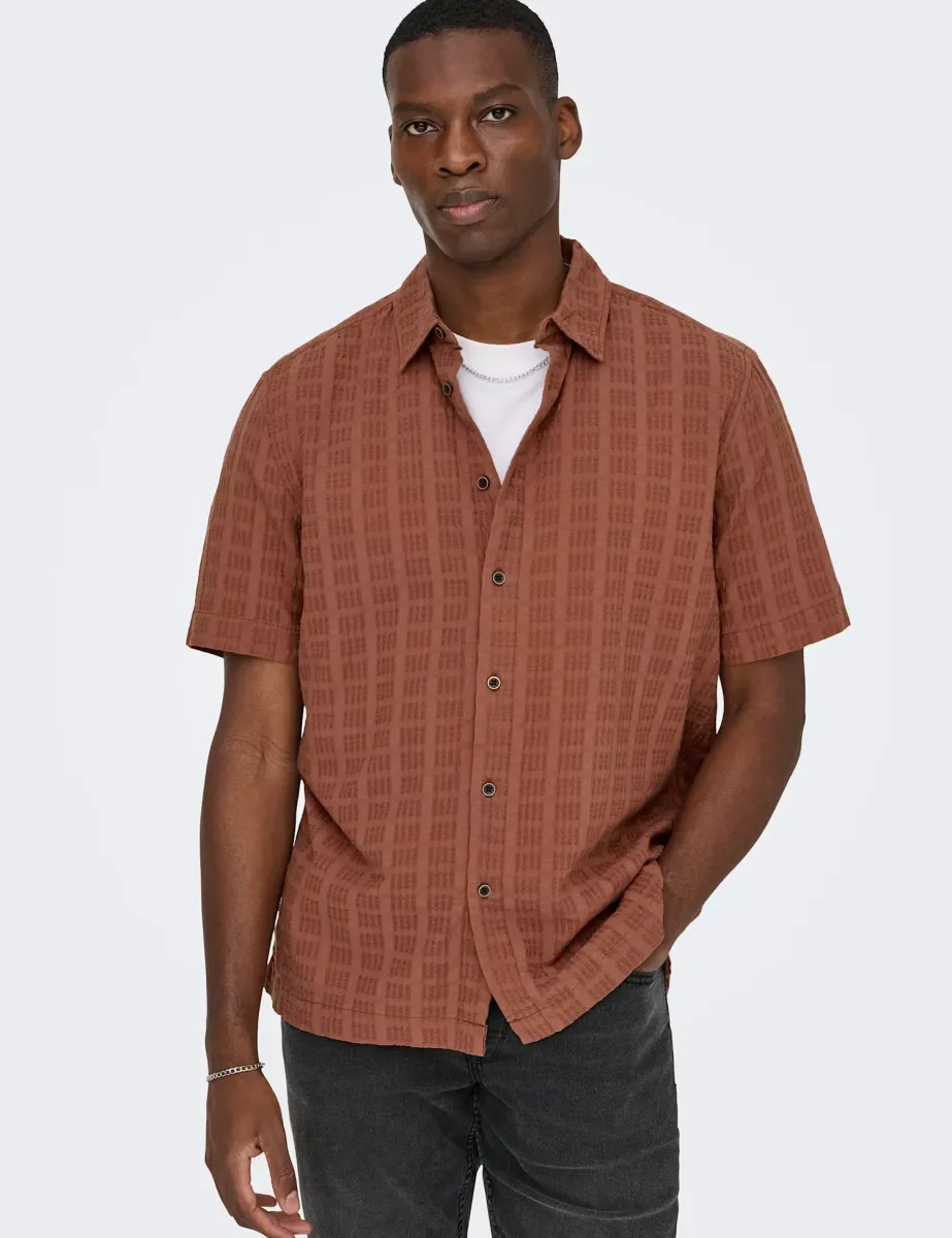 Regular Fit Textured Short Sleeve Shirt Brown