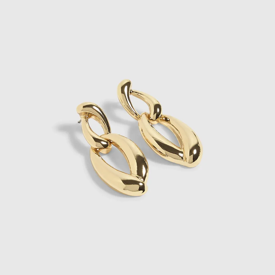 Double Link Earrings