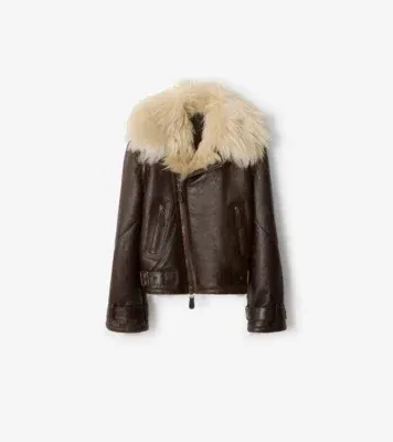 Cropped Shearling Aviator Jacket in Dark brown - Women, Suede