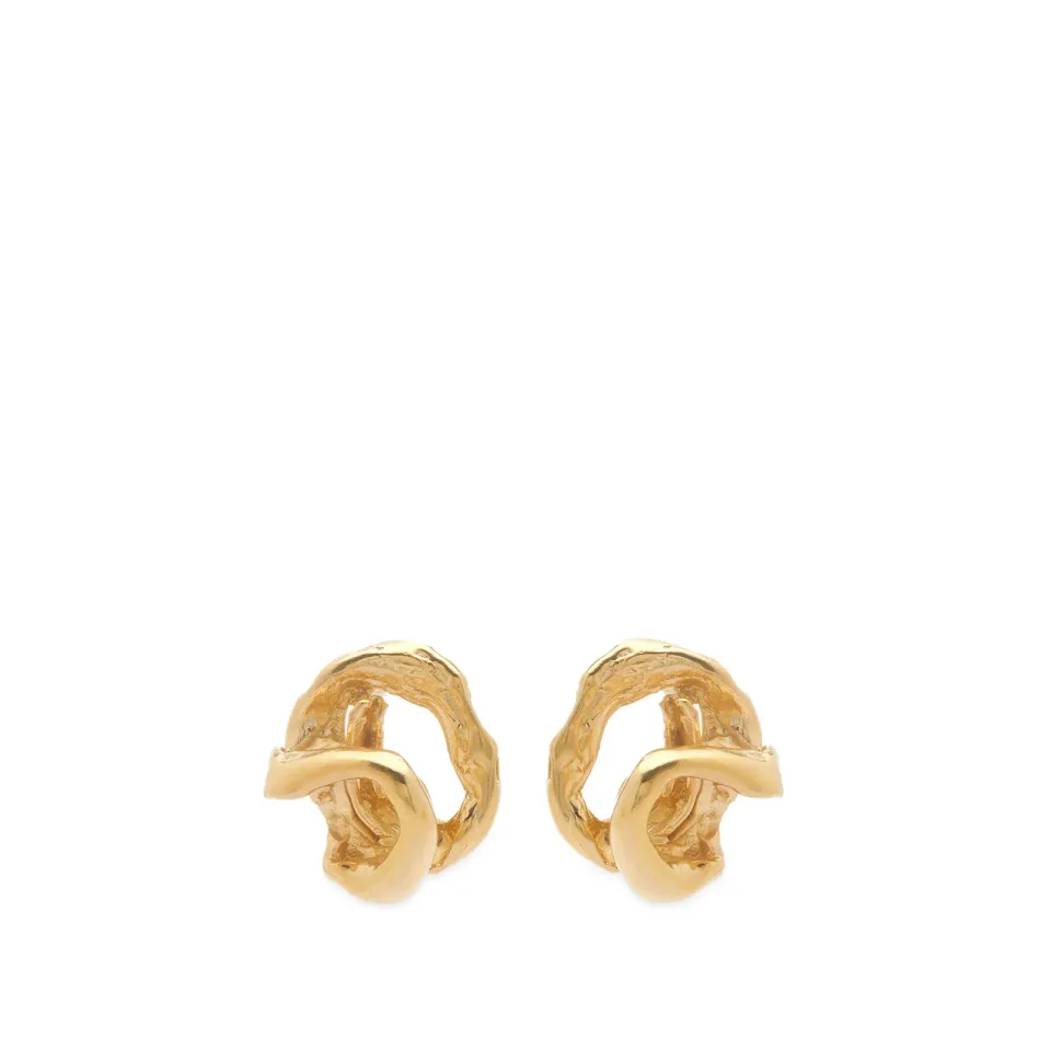 Rodeo Earrings
