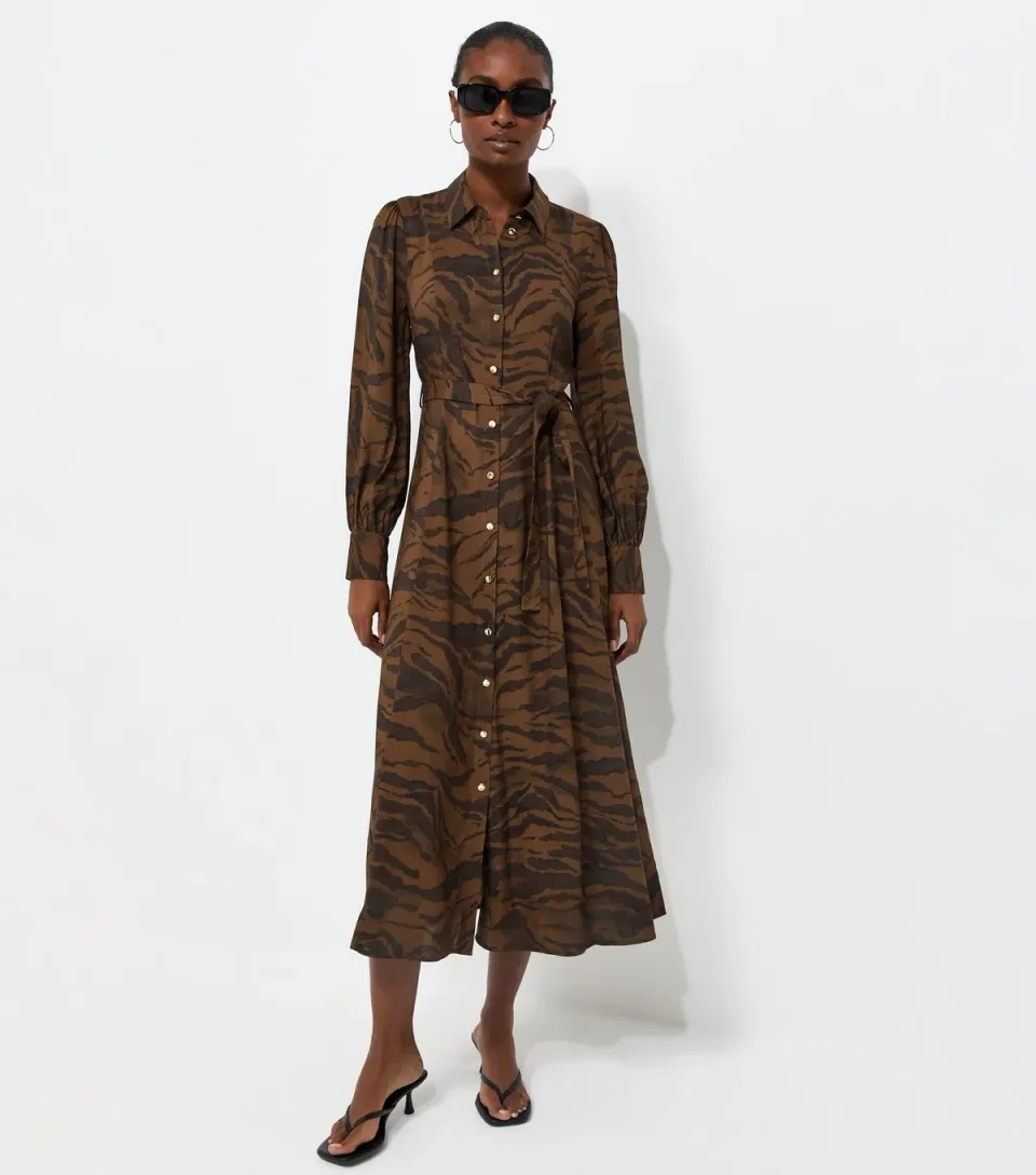 Women's Brown Animal Print Long Sleeve Midi Shirt Dress