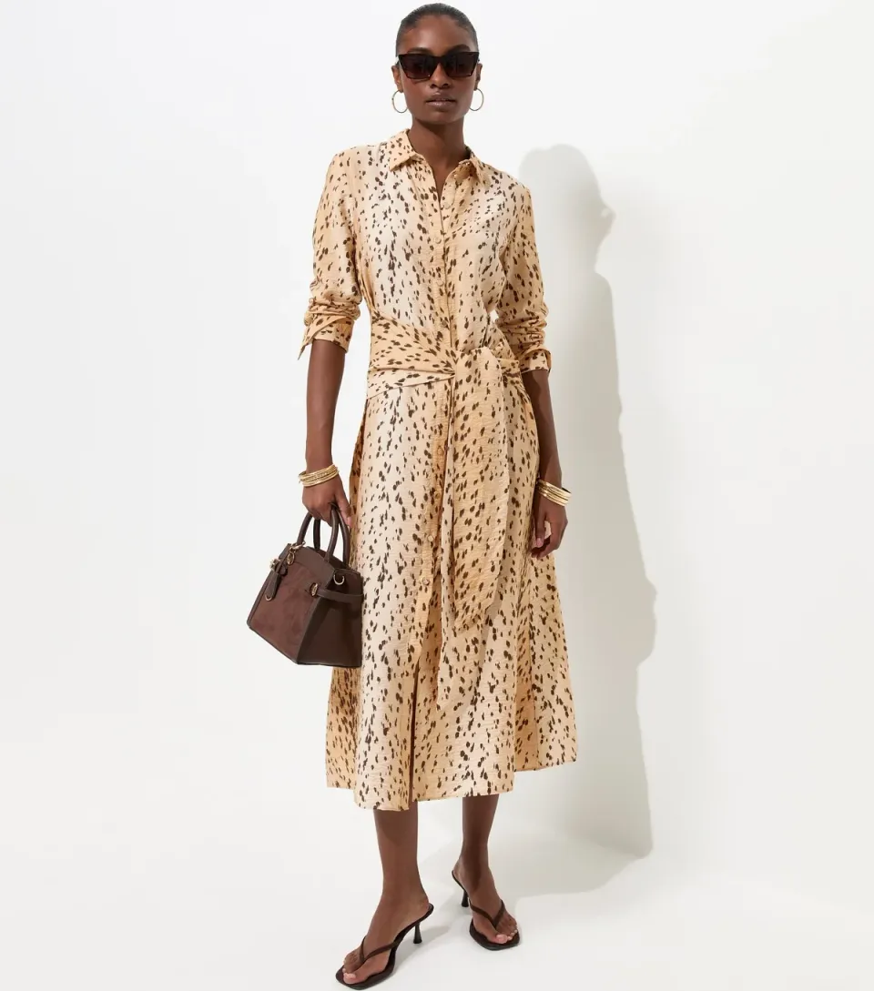 Women's Brown Animal Print Long Sleeve Midi Shirt Dress