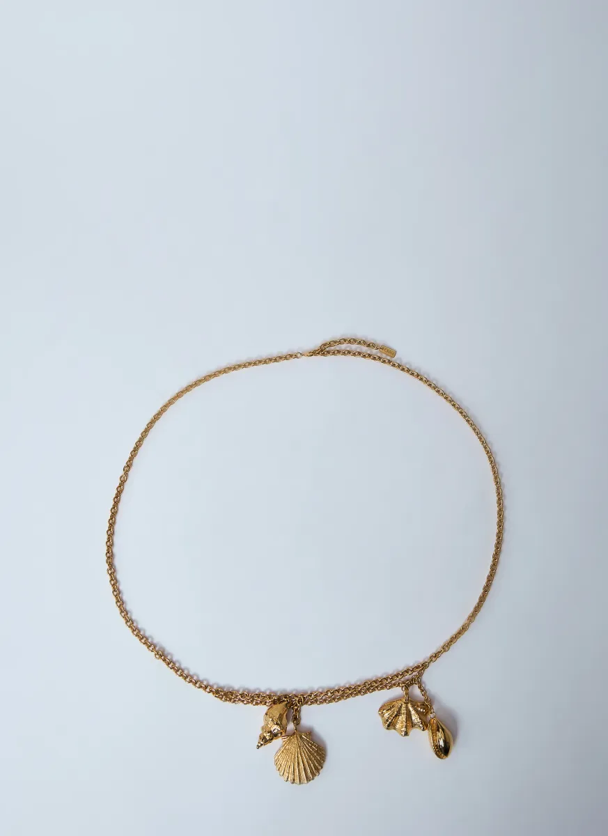 Shell Belt