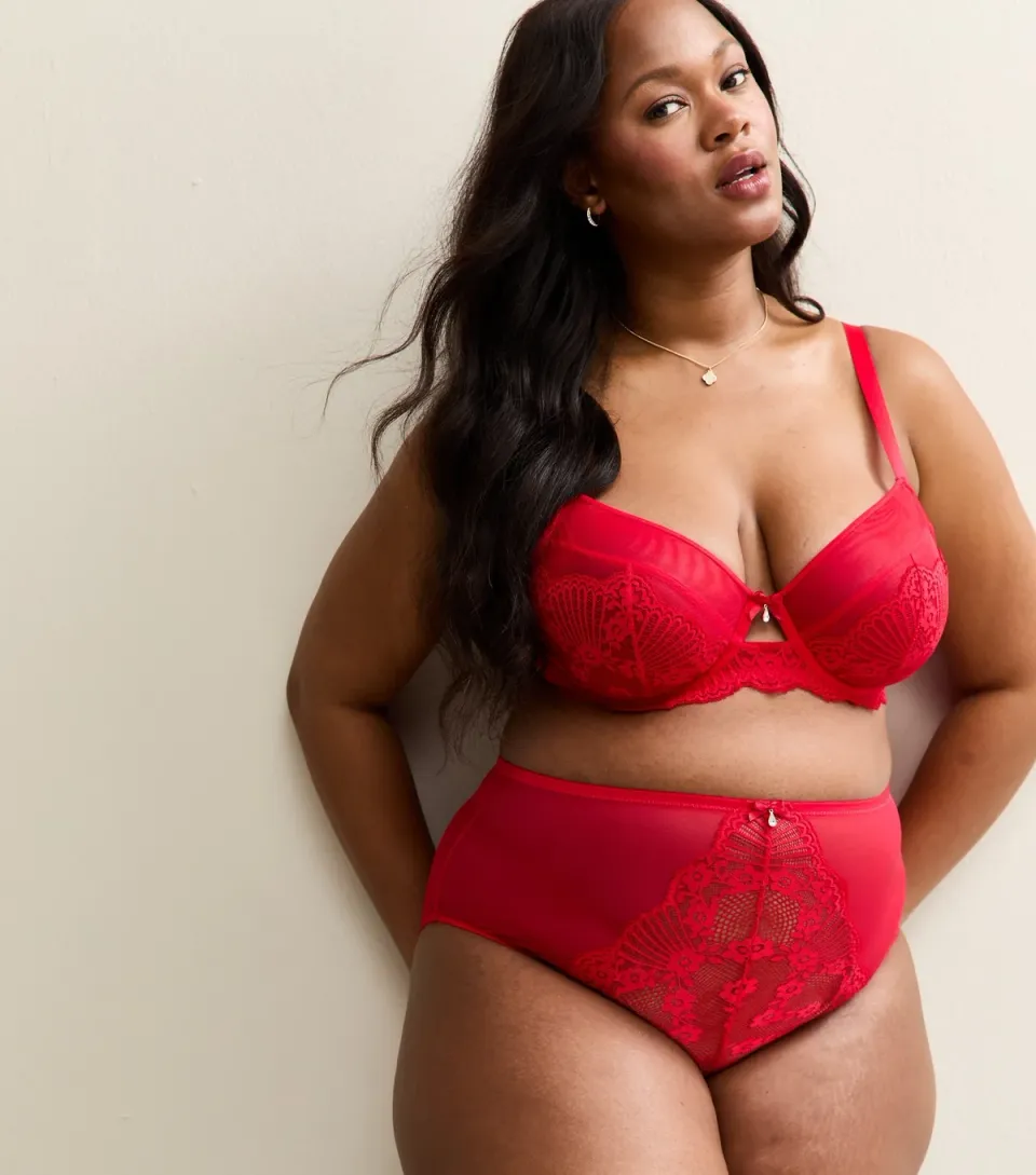 Women's Plus Size Red Floral Lace Panel Mesh High Waisted Briefs Curves