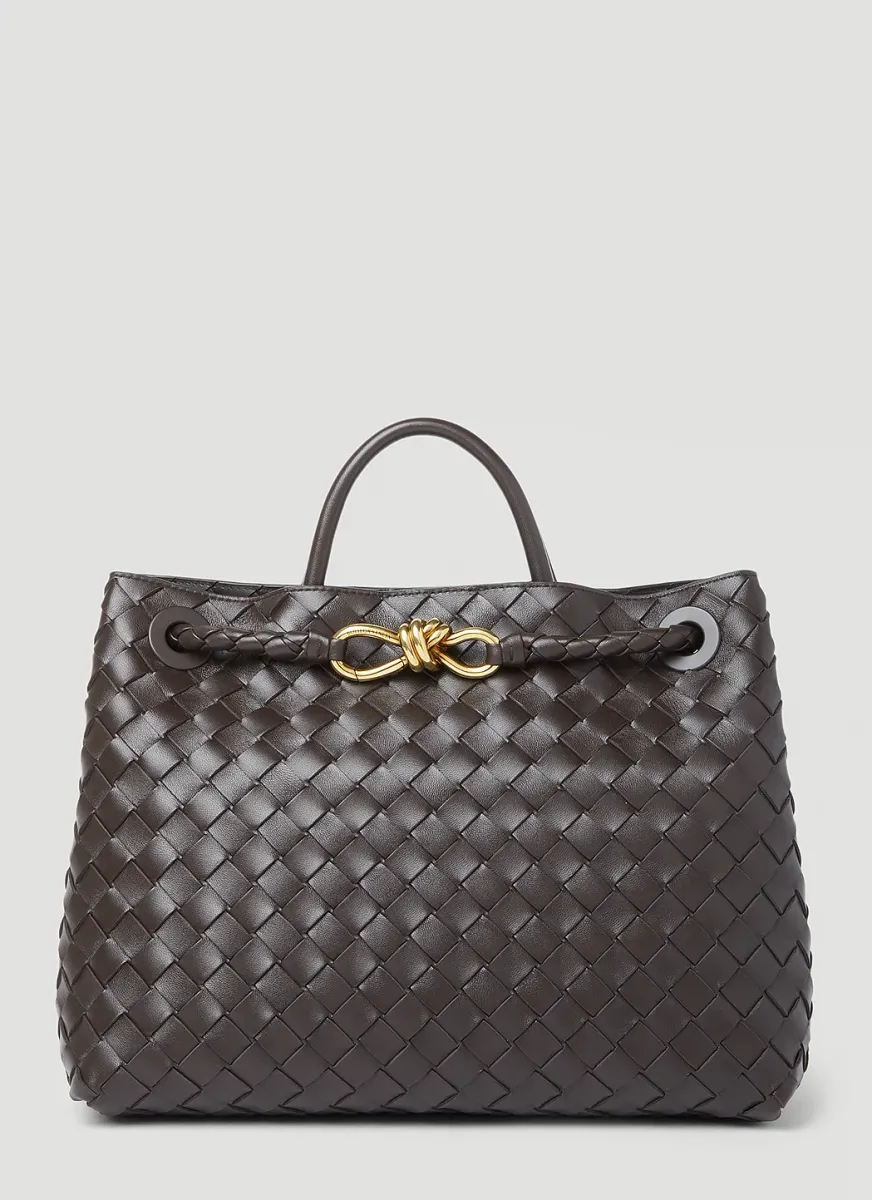 Medium Andiamo Handbag