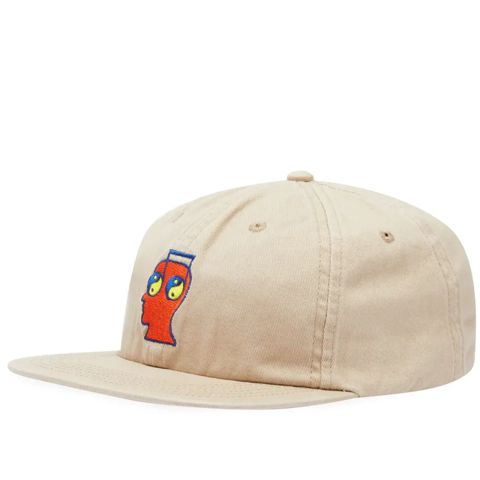 Brain Notes 6 Panel Cap