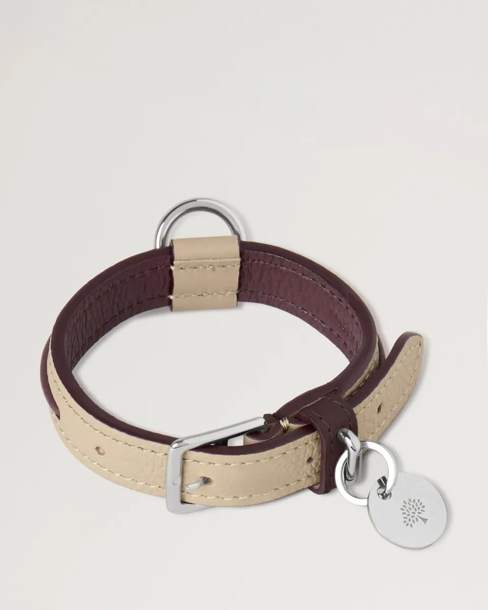 XS Leather Dog Collar