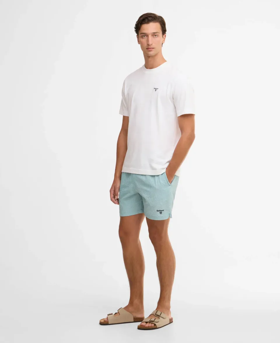 Somerset Pinstripe Swim Shorts