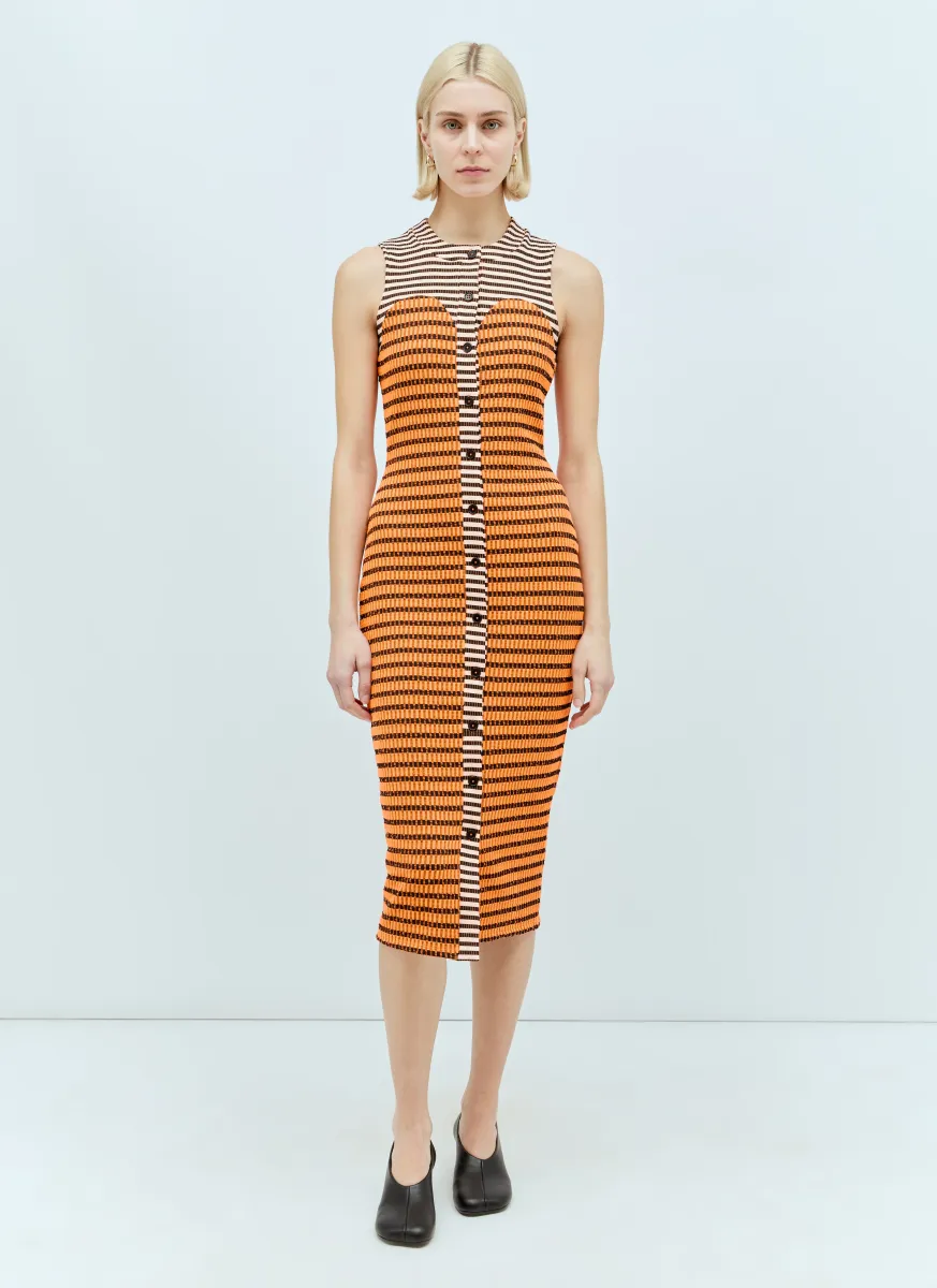 Cardi Striped Dress
