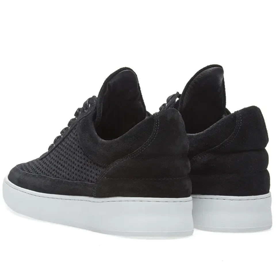 Low Top Sneaker