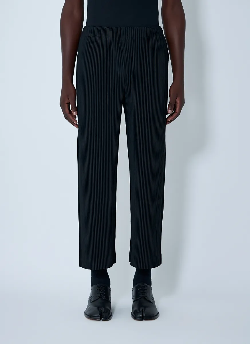Pleated Pants