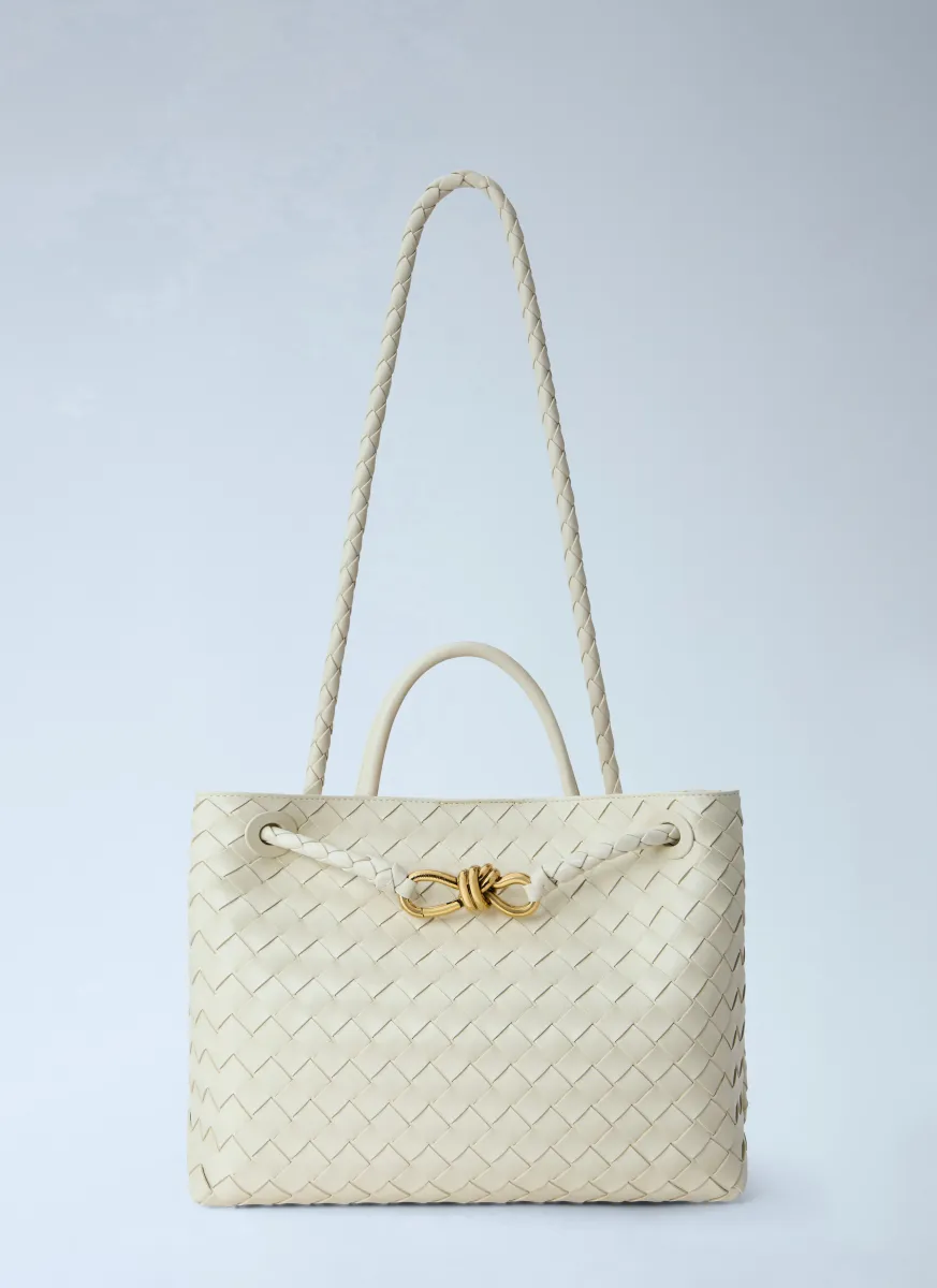 Medium Andiamo Handbag