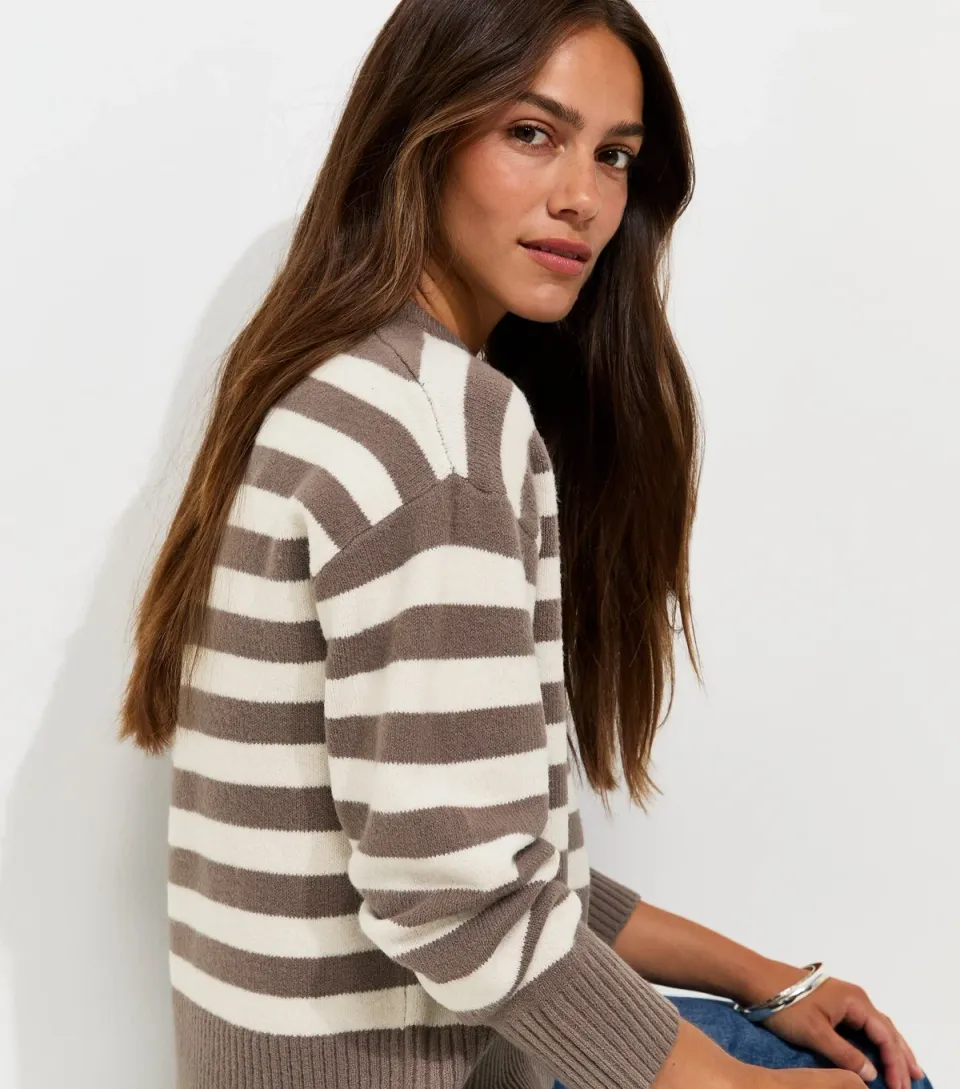 Women's Petite Brown Narrow Stripe Crew Neck Knit Jumper