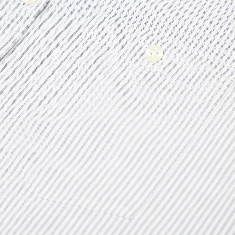 Asle Stripe Oxford Shirt