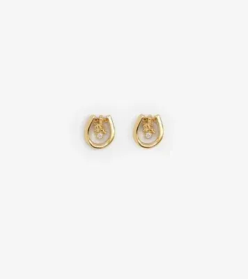 Horseshoe Earrings in Gold/clear