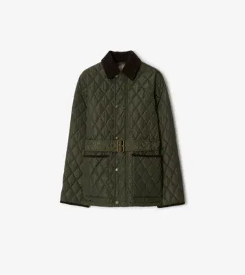 Quilted Nylon Jacket in Shale green - Women, Cotton