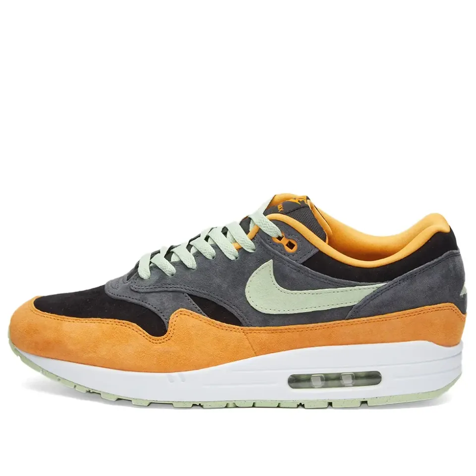 Air Max 1 PRM 'Ugly Duckling'