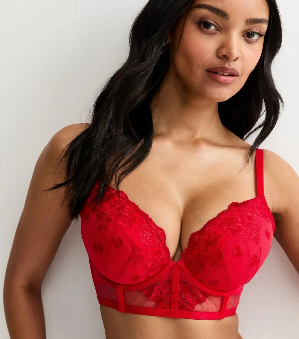 Women's Red DD+ Floral Embroidered Lace Plunge Bra