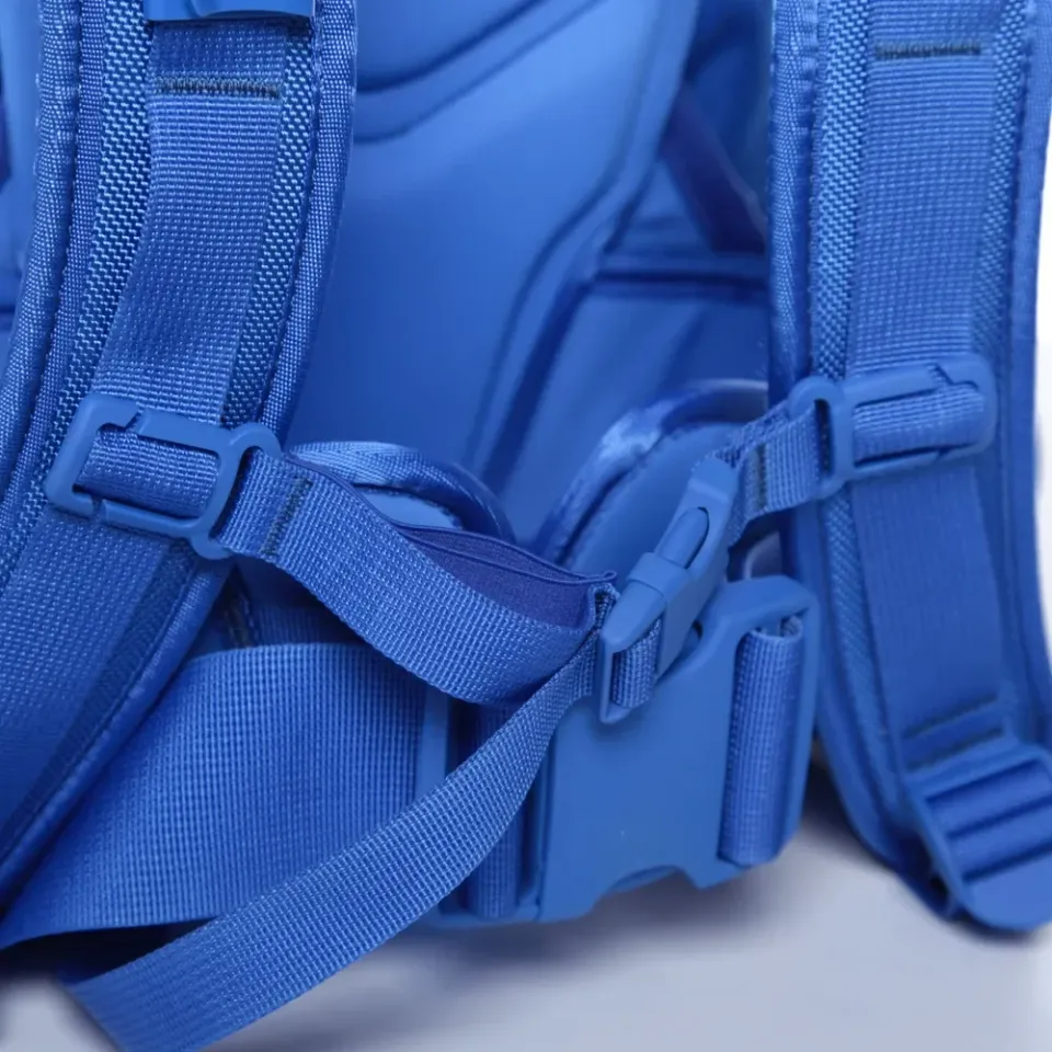 Ballistic 20L Backpack