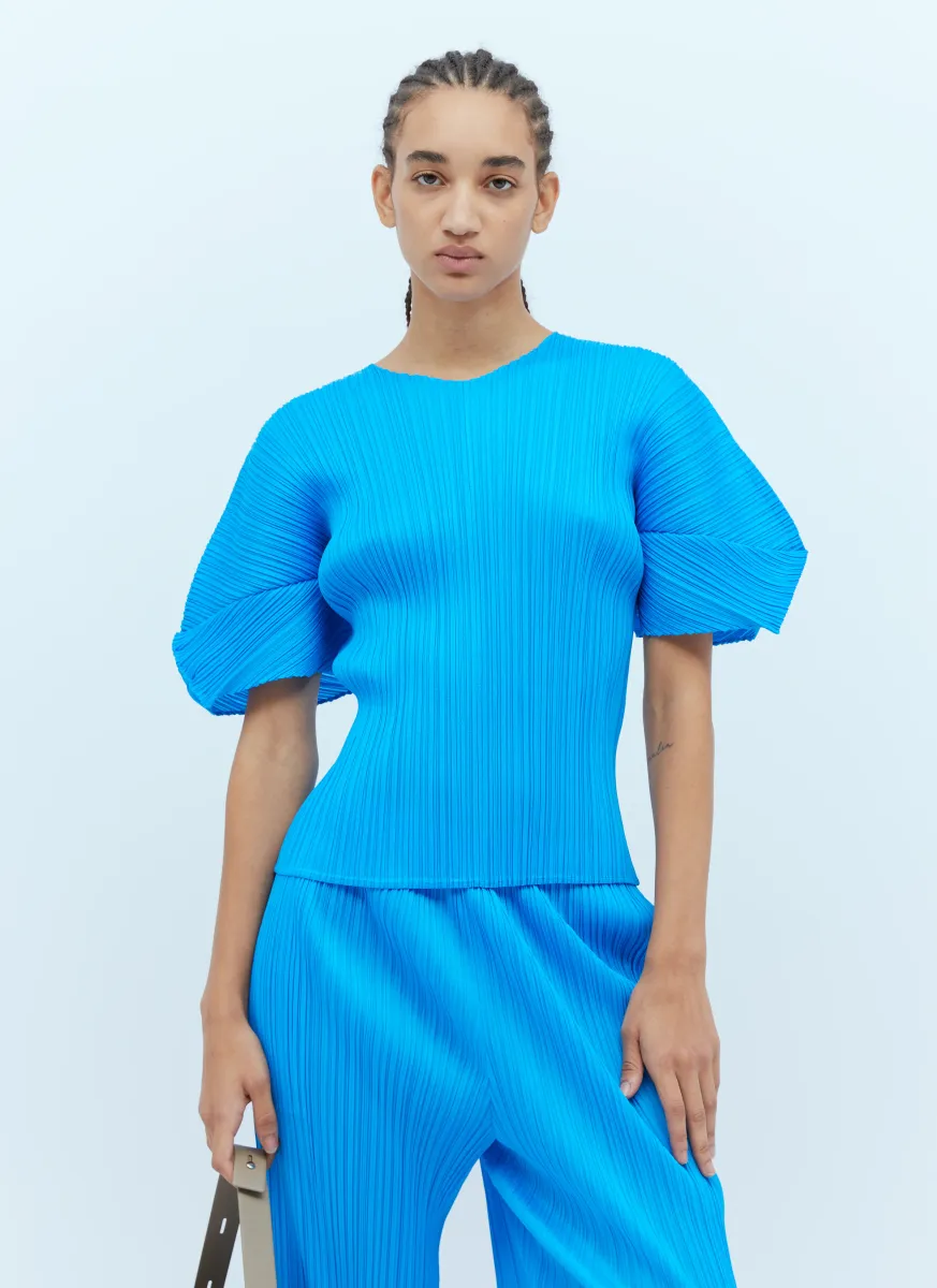 Short Sleeve Pleated Top