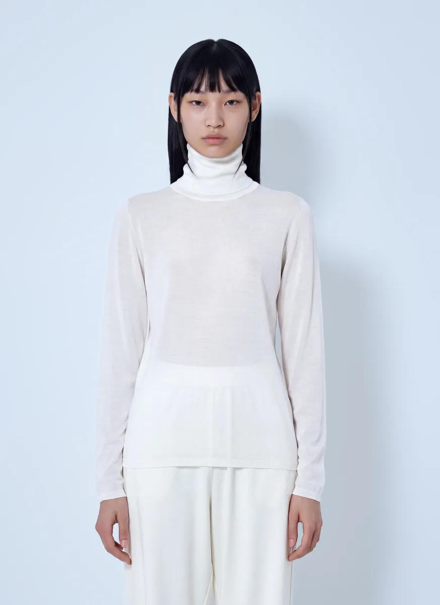 Sheer Turtleneck Top