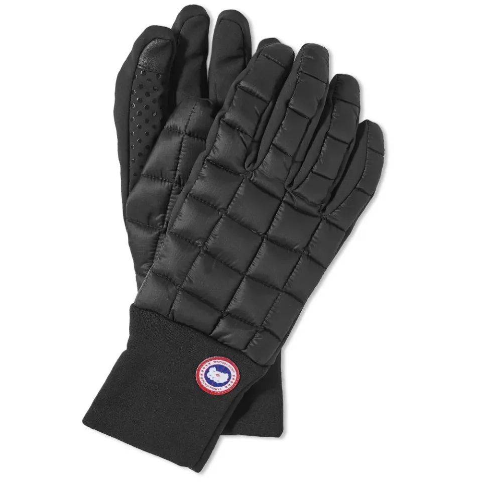 Northern Liner Glove