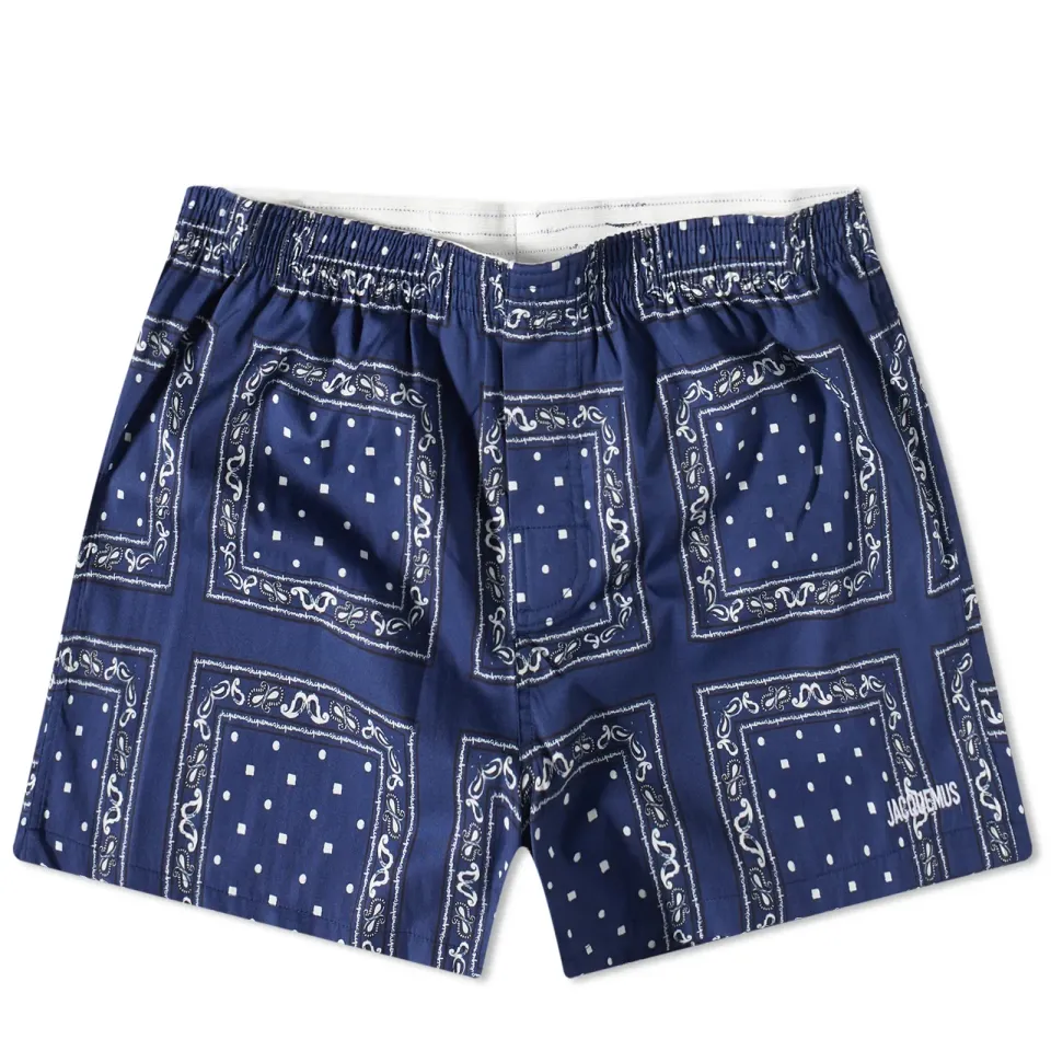 Paisley Print Swim Shorts