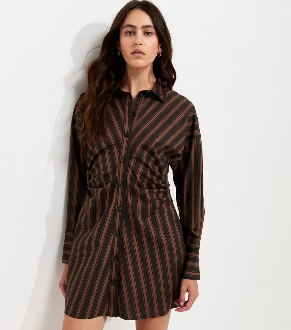Women's Brown Cotton Striped Mini Shirt Dress