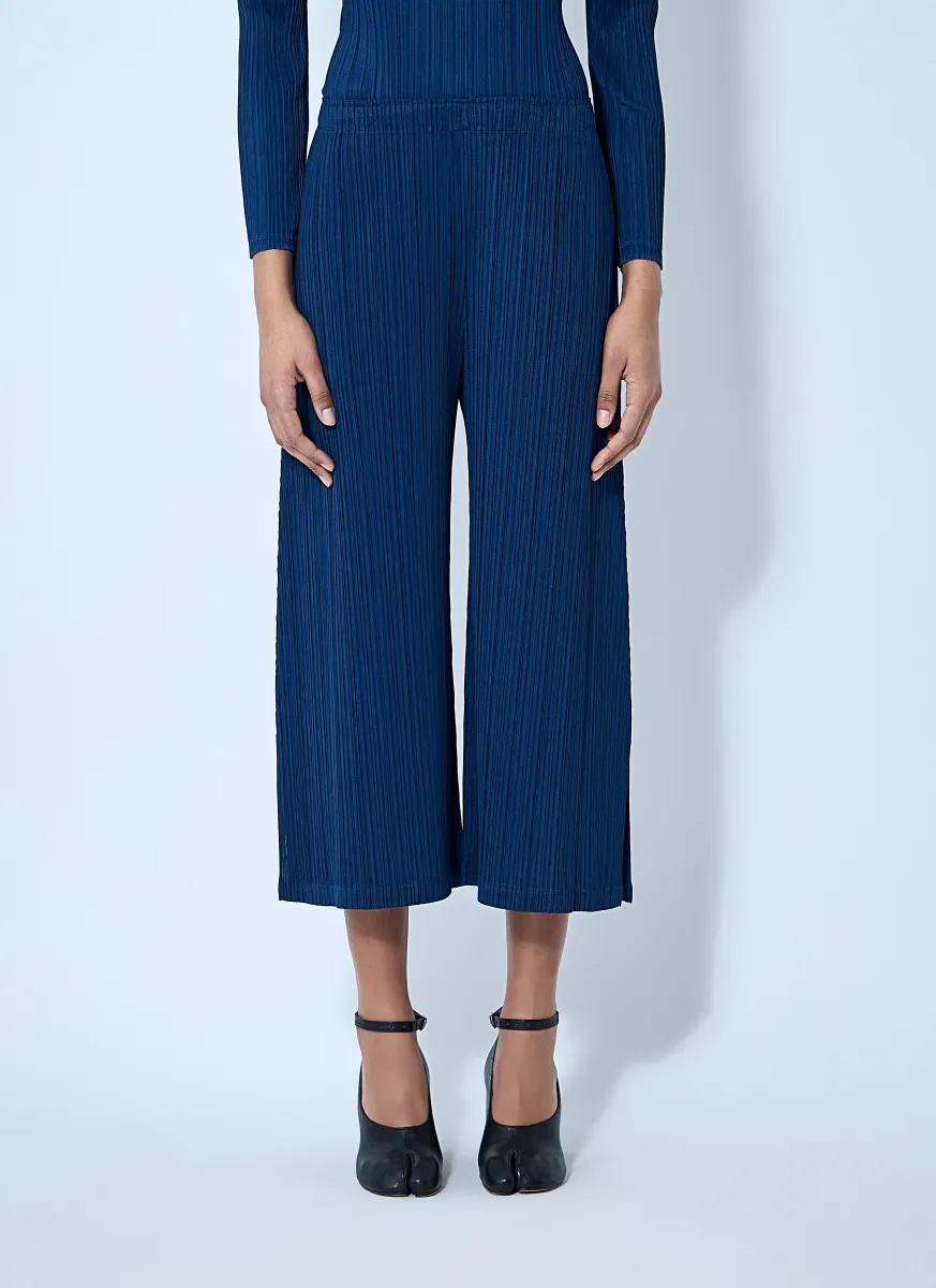 Pleated Pants