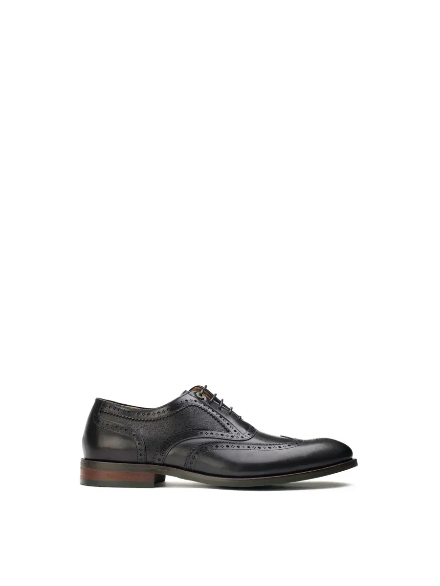 Diplodocus Brogue Shoes
