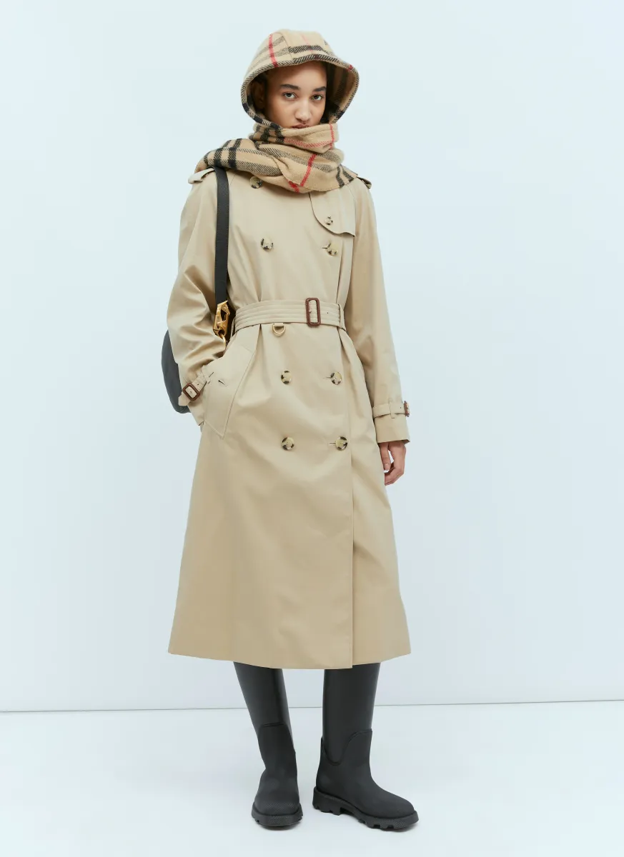 Double-Breasted Trench Coat