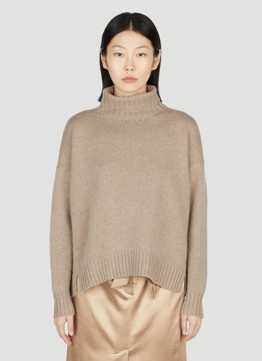 Gianna Turtleneck Sweater
