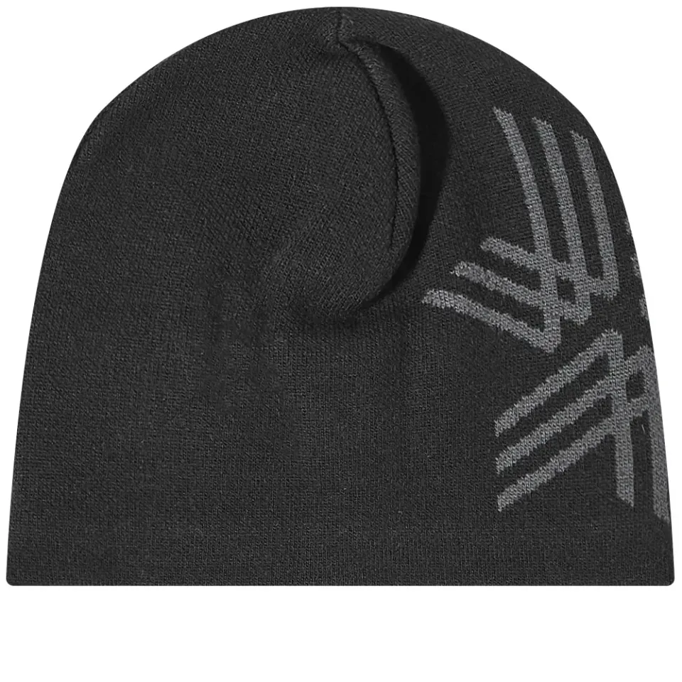 Big Logo Beanie
