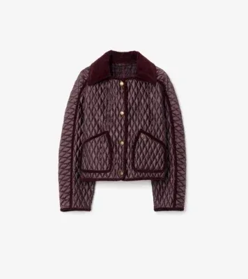Cropped Quilted Nylon Floriston Jacket in Mahogany brown