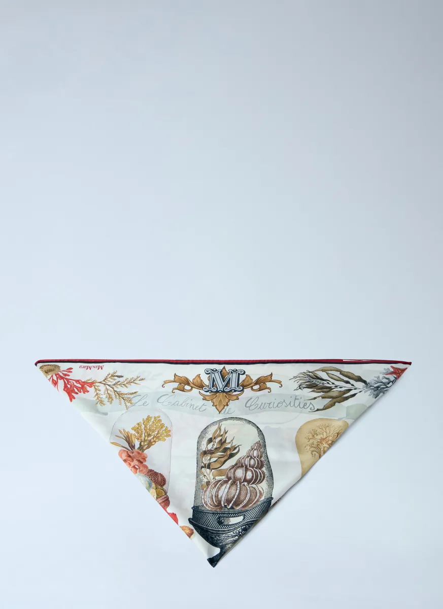 Printed Silk Scarf