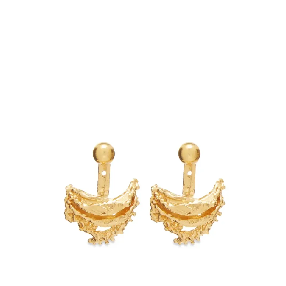 The Bewitching Constellation Earring