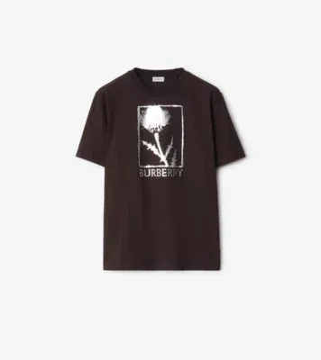Thistle Cotton T-shirt in Clove brown