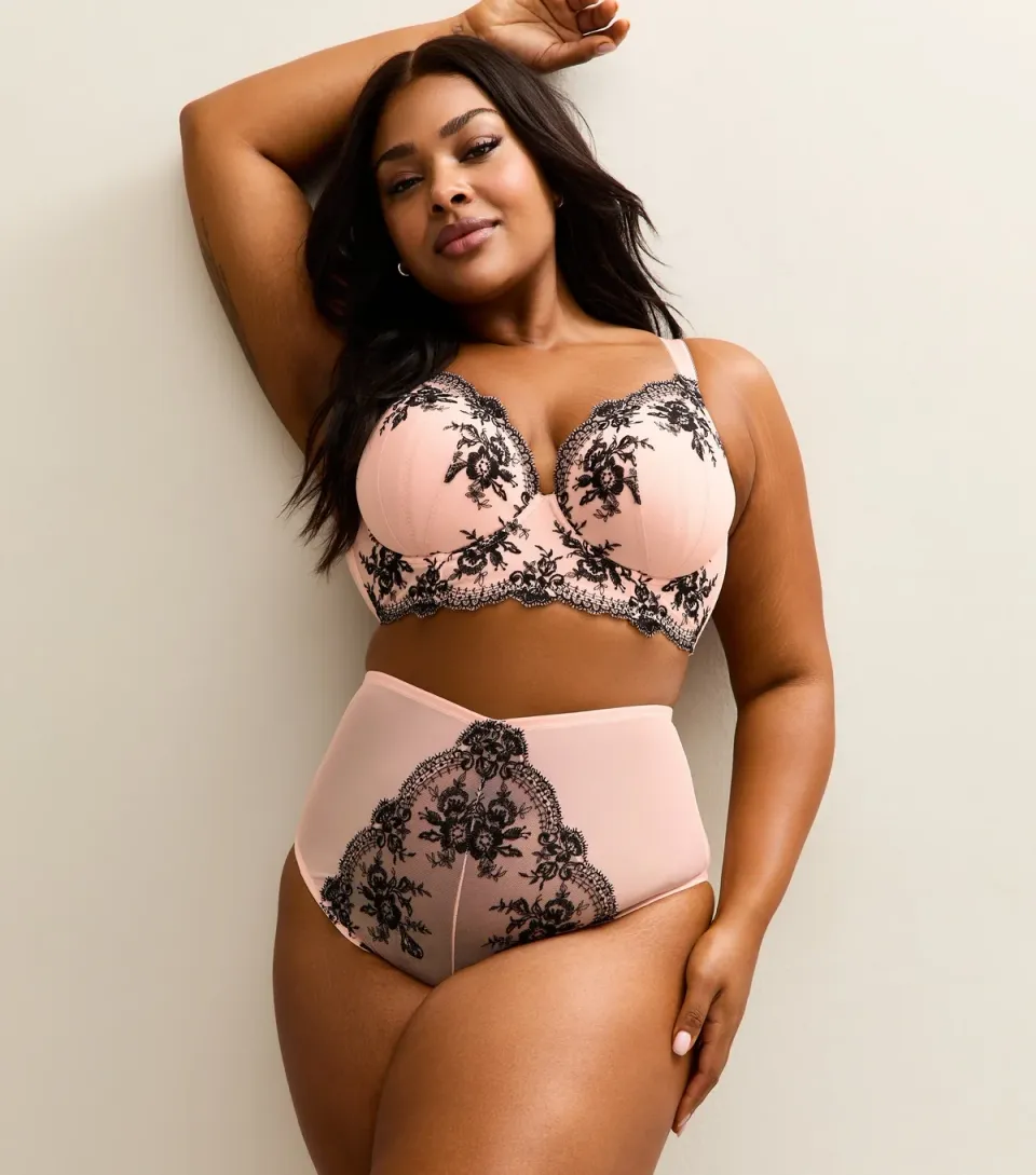 Women's Plus Size Light Pink Eyelash Embroidered High Waist Briefs Curves