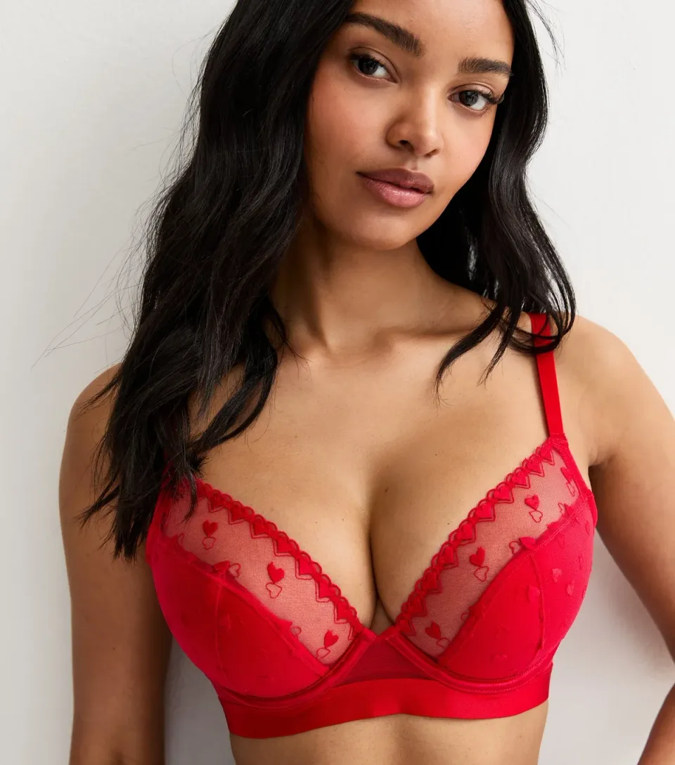 Women's Bright Red DD+ Heart Embroidered Demi Padded Bra