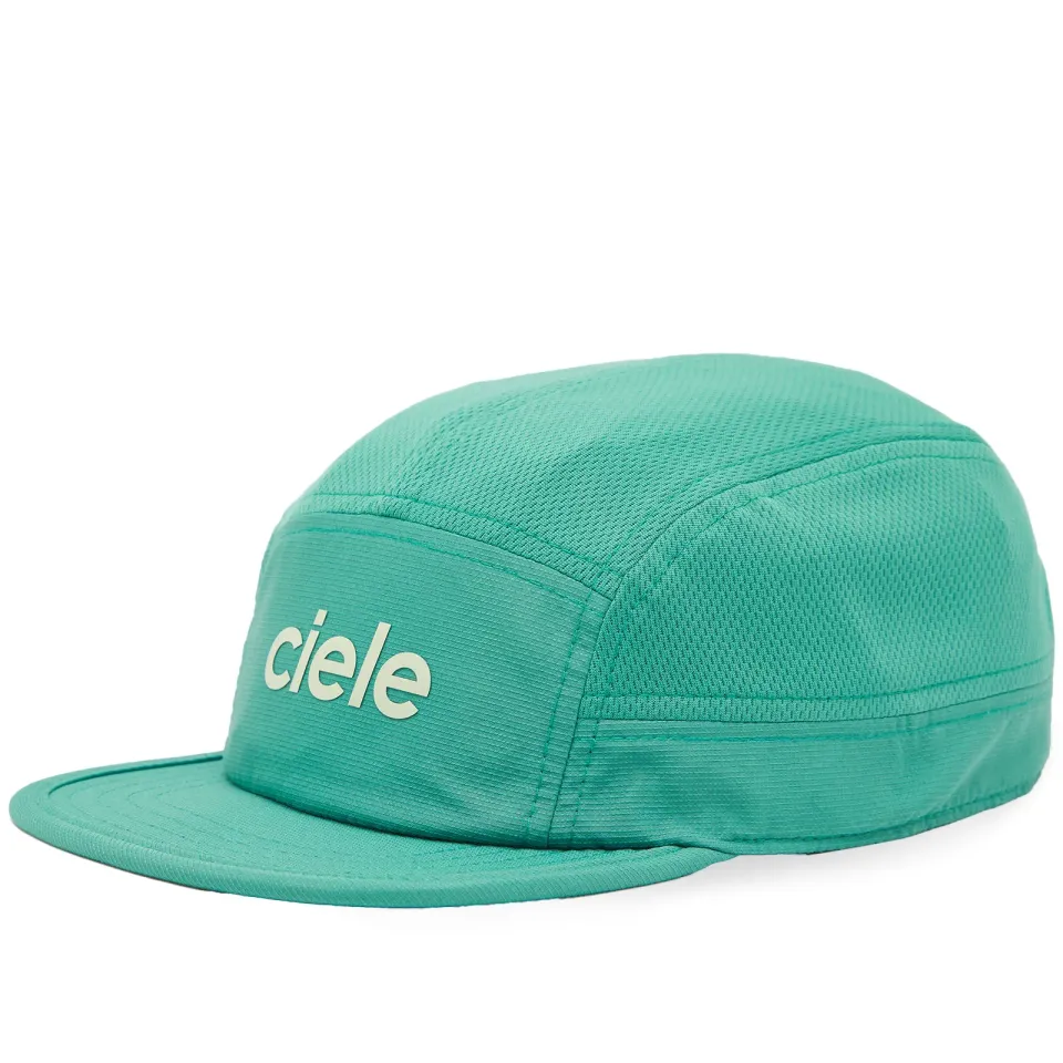 ALZ Cap