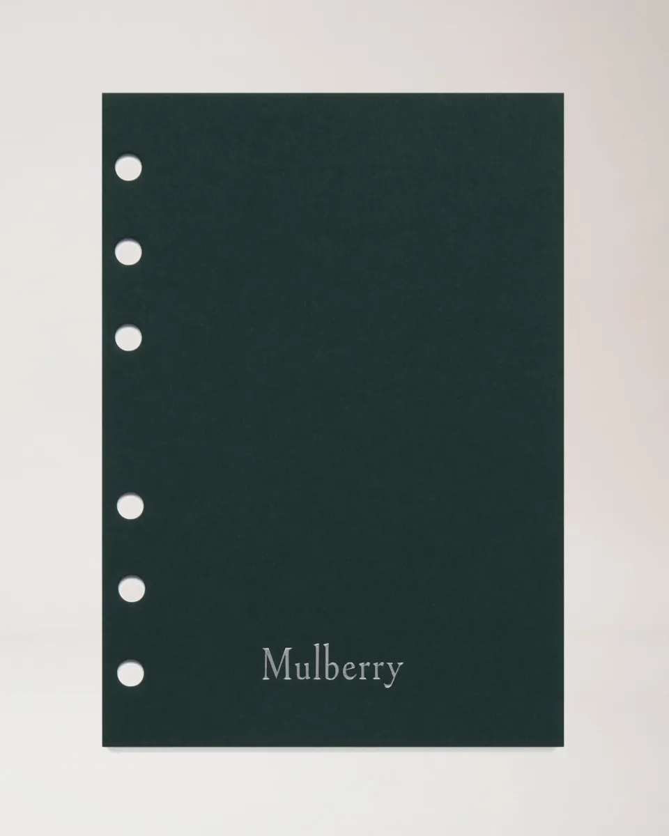 2026 Planner Diary Insert