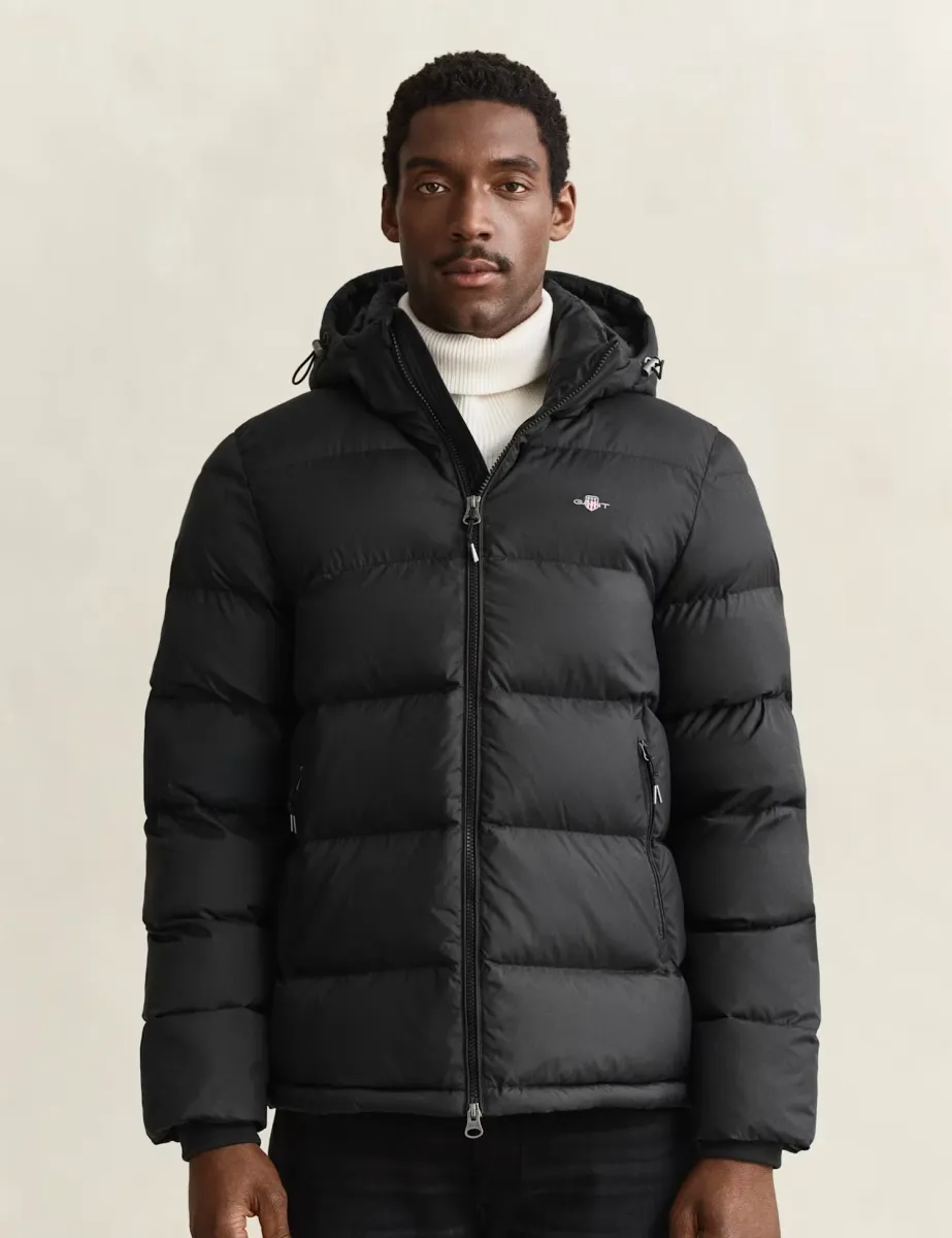 Padded Hooded Zip Up Puffer Jacket