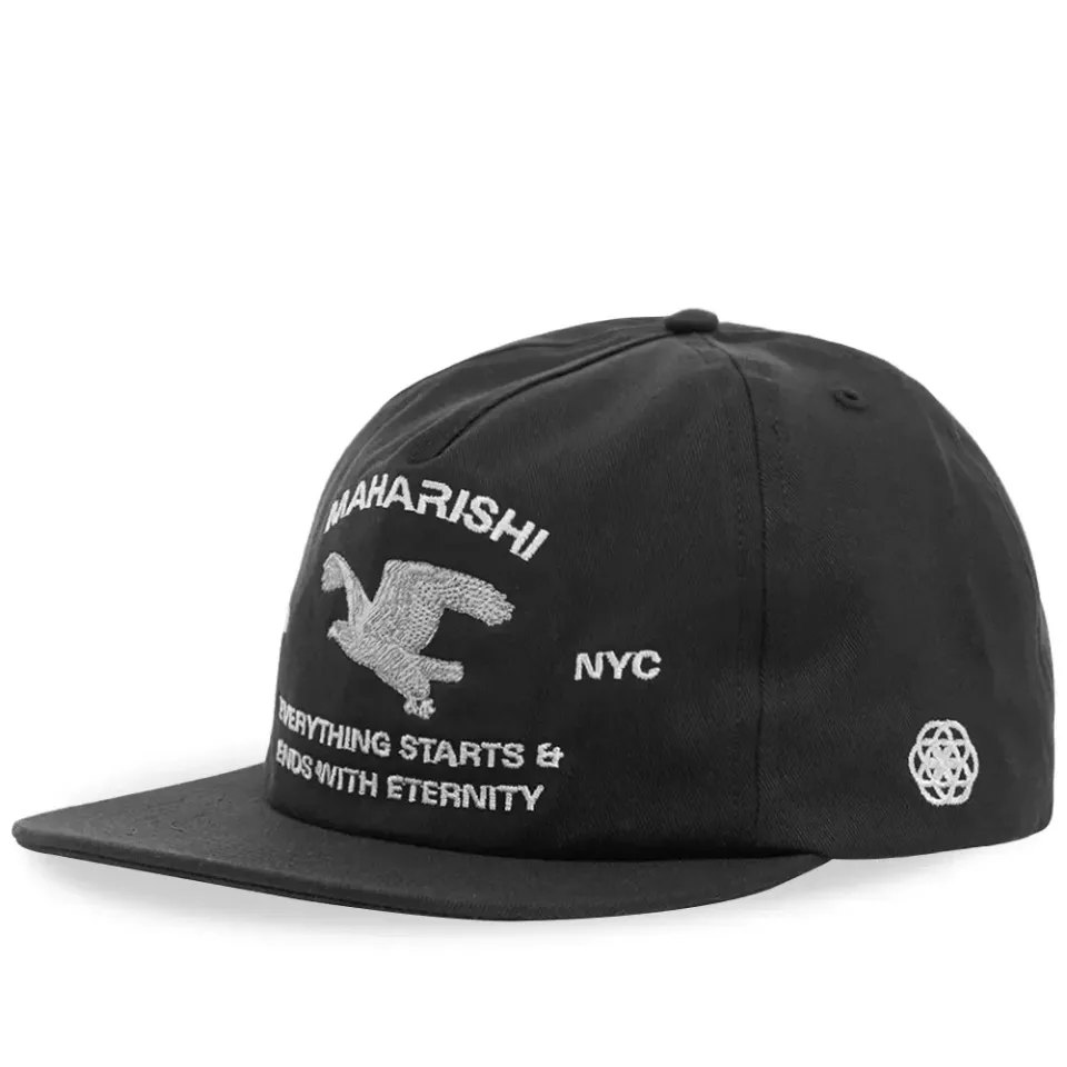 Drone Eagle Tour Cap