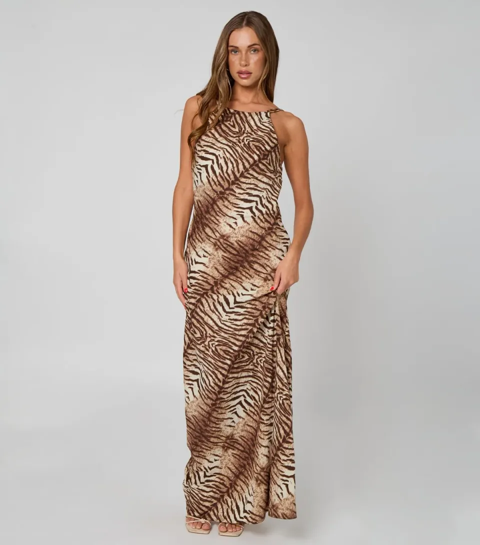 Women's Brown Zebra Print Maxi Dress