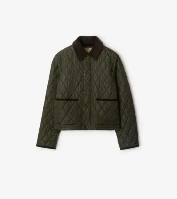 Cropped Quilted Nylon Jacket in Shale green/brush brown