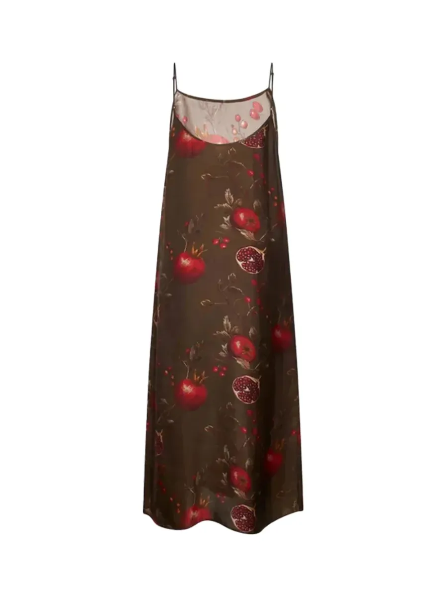 anaya dress Brown/red