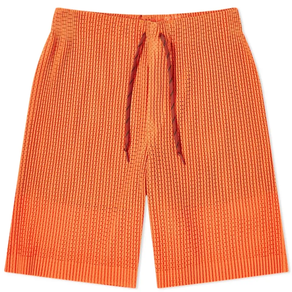 Colourful Mesh Pleated Shorts