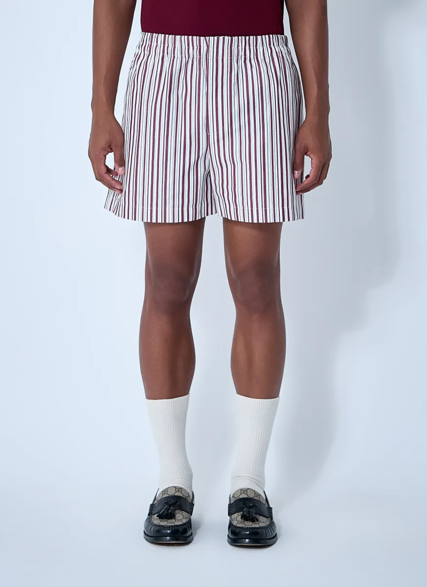 Striped Logo Motif Shorts