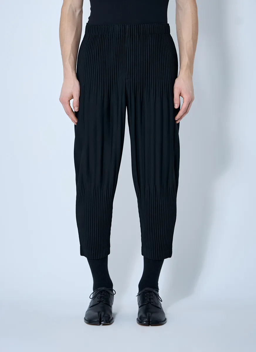 Wide Pleat Pants